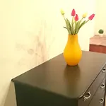 Apartamento Casetta In Centro *